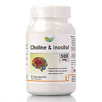Комплекс амінокислот Холін та Інозитол 500мг Choline & Inositol Biotrex 60veg.capsules