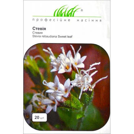 Насіння квітів Стевія , 20 шт, фото 1