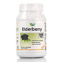 Бузина концентрат 500 мг Elderberry Biotrex 60 veg.capsules