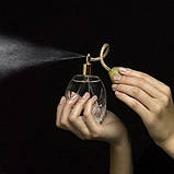 Амбралюкс 50 мл, фото 2