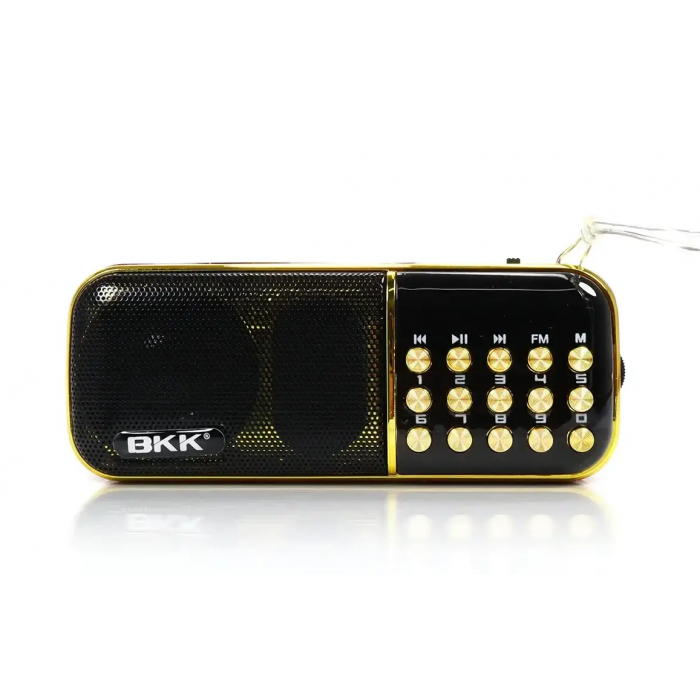 Радіоприймач з FM MicroSD BKK B851 радіо на акумуляторі 18650 радіо, фото 1