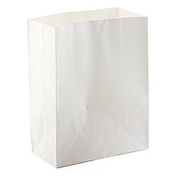 Пакет (для доставки) з білого паперу без ручок 110*60*170мм(щільність 70г/м2)(Арт 703)(10шт/уп)(200шт/уп)