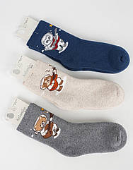 Махрові шкарпетки дитячі 1-2 роки ТМ Arti (3 шт/уп) k25070