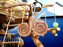 НАШІ РОБОТИ. Іграшки для папуги дерево, лоза, люф. 6