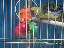 НАШІ РОБОТИ. Іграшки для папуги дерево, лоза, люф. 8