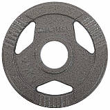 Диски (диски) сталеві з потрійним хватом d-52 мм Zelart TA-7791-2_5 (1 шт. х 2.5 кг), фото 3