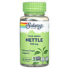 Кропива дводомна (Stinging nettle)