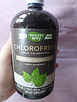 Nature's way chlorofresh, жидкий хлорофилл, без добавок, 480 мл (16 жидк. унций)