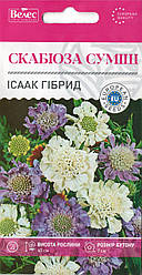 Насіння скабіози Ісаак Гібрид 0,1 г ТМ ВЕЛЕС