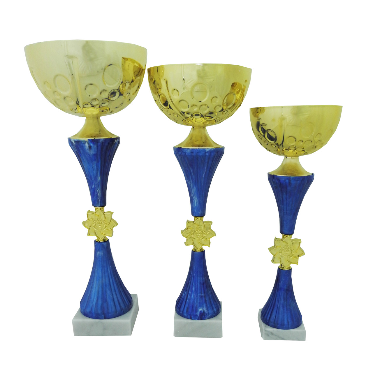 Кубок Вінниця Blue