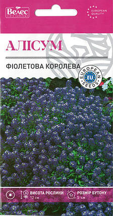Насіння Аліссум Фіолетова королева 0,2г ВЕЛЕС, фото 2