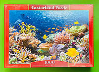 Пазлы Castorland 1000 эл "Рыбы коралловых рифов" (101511) 68*47 см