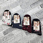 Шкарпетки жіночі середні зимові з махрою р.23-25 новорічне асорті КВМ ЖИТОМИР 30038487, фото 2