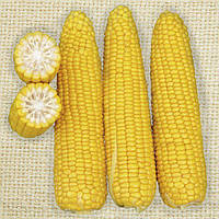 Семена Кукуруза сахарная Добрыня F1 1 кг