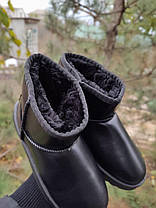 UGG Шкіряні уггі короткі низькі еко - шкіра жіночі чорні теплі зимові, фото 5