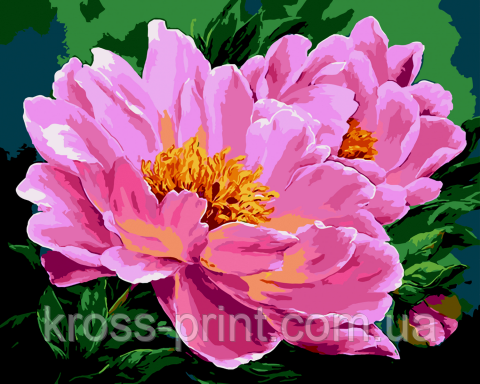 Картина за номерами "Рожеві півонії", 40*50, ART Line