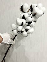 Декоративна бавовна ( 46 см, 10 штук), фото 2