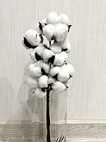 Декоративна бавовна ( 46 см, 10 штук), фото 4