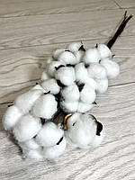 Декоративна бавовна ( 46 см, 10 штук), фото 7