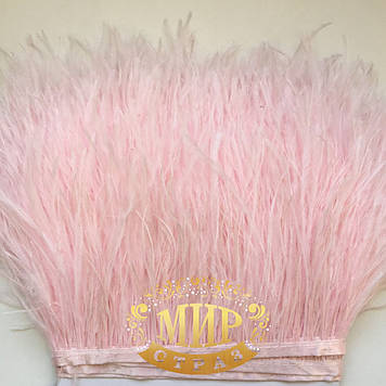 Пір'я страуса на стрічці Колір Lt Rose Ціна за 0.5м