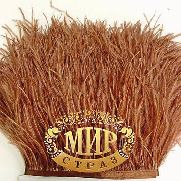 Тасьма страусинна Колір Foxy Ціна за 0.5м