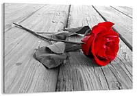 Картина холст в гостиную / спальню Червона троянда MLP_156 80x120 см