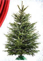 Підставка для ялинки Jumi 39,5х39,5х13,2 см, пластик, зірка, зелена, фото 3