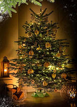 Підставка для ялинки Jumi 39,5х39,5х13,2 см, пластик, зірка, зелена, фото 4