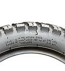 Покришка 3.50-10 Deli Tire TL, фото 6