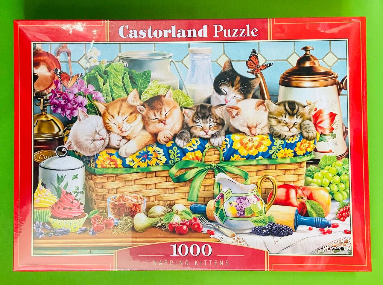 Пазли Castorland 1000шт (105069) Дрімаючі кошенята