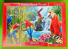 Пазли Зустріч папуг (2000 елементів). Castorland 200870
