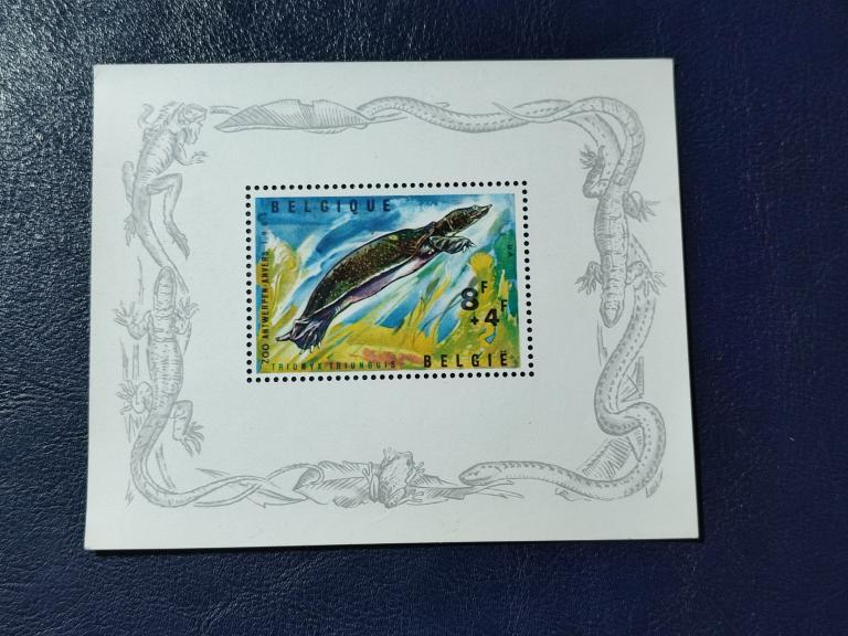 Бельгія 1965 *, фото 1