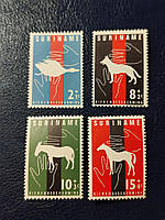 Південна Америка