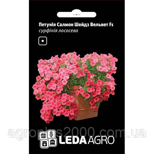 Насіння Петунія ампельна, сурфінія Салмон Шейдз Вельвет F1 лососева 5 насінин Cerny Seed LedaAgro