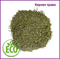 Кермек трава (лимониум трава) (1кг)