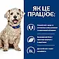 Сухий корм для собак при цукровому діабеті Hill's Prescription Diet w/d 10 кг - курка, фото 3