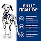 Сухий корм (Хіллс) для собак догляд за сечовидільною системою Hill's Prescription Diet u/d 4 кг, фото 3