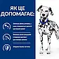 Сухий корм (Хіллс) для собак догляд за сечовидільною системою Hill's Prescription Diet u/d 4 кг, фото 4