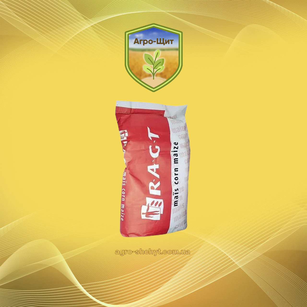 Насіння кукурудзи Реакксіон (ФАО 320) Врожай 2023 року!