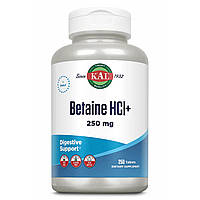 Betaine HCl Plus 250mg - 250 tabs