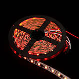 Світлодіодна стрічка Venom Smart SMD 5050 60 д.м (IP33) Standart RGB, фото 4