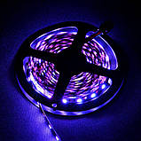 Світлодіодна стрічка Venom SMD 5050 30д.м. негерметична (IP33) Premium RGB (VP-5050120300-RGB) RGB, фото 4