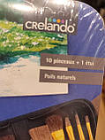 Набір професійних пензлів для малювання з футляром Crelando10 шт натуральне волокно, фото 4