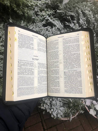 Біблія, переклад Рафаїла Турконяка, СП, 16х24 см, шкіра, гнучка обкладинка, замок, індекси., фото 3