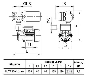 Насосна станція AUTPS60/1L mini "NPO", фото 2