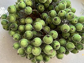 Цукрові ягідки 40 шт/уп зеленого кольору (калина в цукрі штучна)