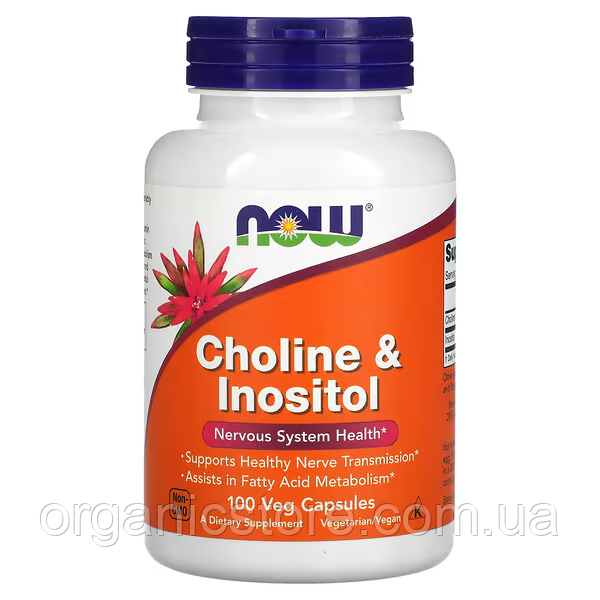 Холін і інозитол, Choline& Inositol NOW Foods, 100 рослинних капсул