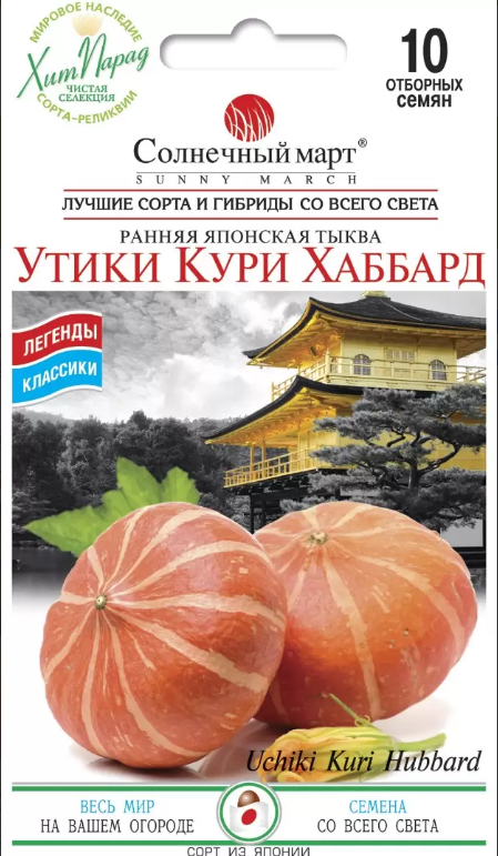Гарбуз Утики Кури Хаббард 10 шт