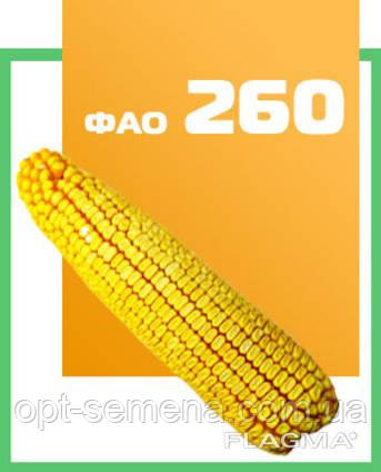 Насіння кукурудзи ДН Фієста (ФАО 260)