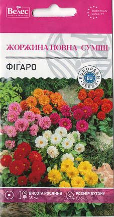 Насіння жоржини Фігаро 0,3 г ТМ ВЕЛЕС, фото 1